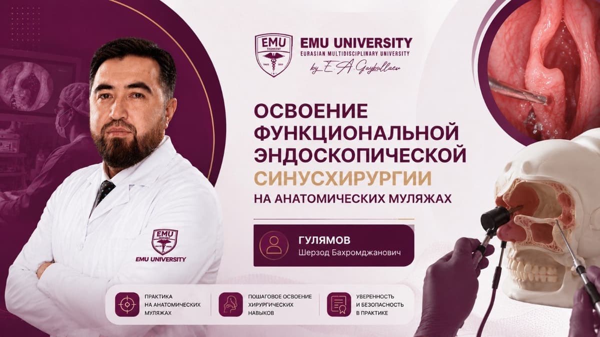 Освоение функциональной эндоскопической хирургии синусов на анатомических муляжах